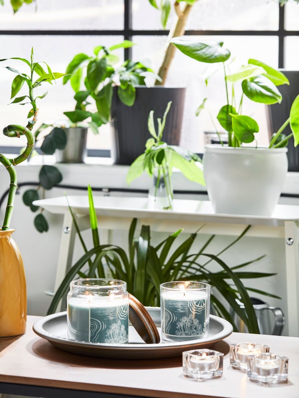 A bergamot & cedarwood/pale green BUKETTAPEL scented candle in glass