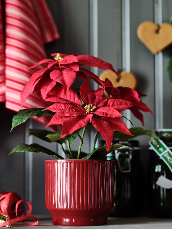 An in/outdoor/red VINTERFINT plant pot