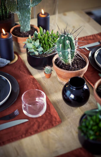 Tisch mit schwarzem Geschirr, rotem Läufer, Glas und mehreren Sukkulenten sowie brennenden Kerzen als Dekoration.