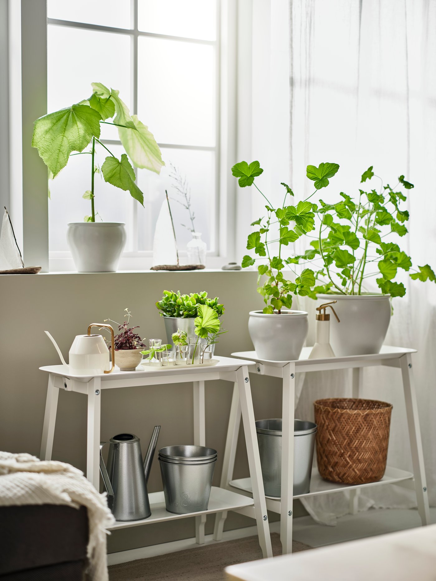A living room with a yellow VATTENKRASSE watering can placed on a white ALPVIDE plant stand, above a grey ÅKERBÄR watering can, in front of a window.