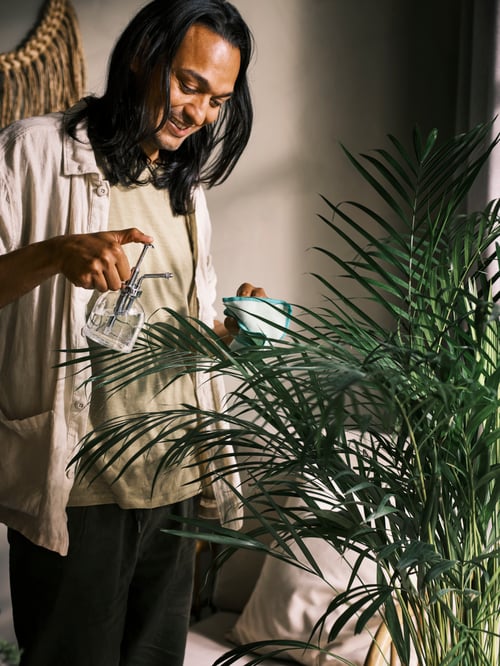 O persoană care deține o sticlă transparentă SESAMFRÖN domnule plante, și o cârpă de vase verde, într-un cadru modern cameră de zi. 