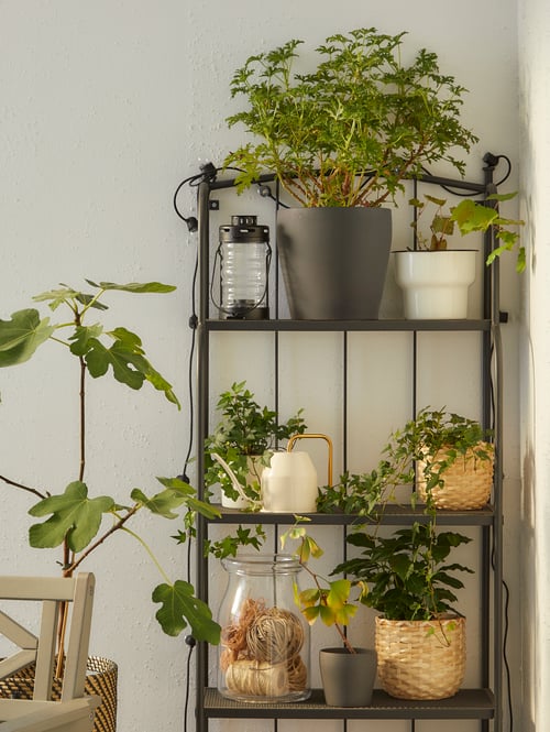 Un gros plan sur une étagère en fer forgé, plusieurs plantes en pot, un vase, une lanterne et un arrosoir.