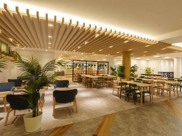 木製家具と観葉植物が配置された、自然光あふれるモダンなダイニングスペースの内観