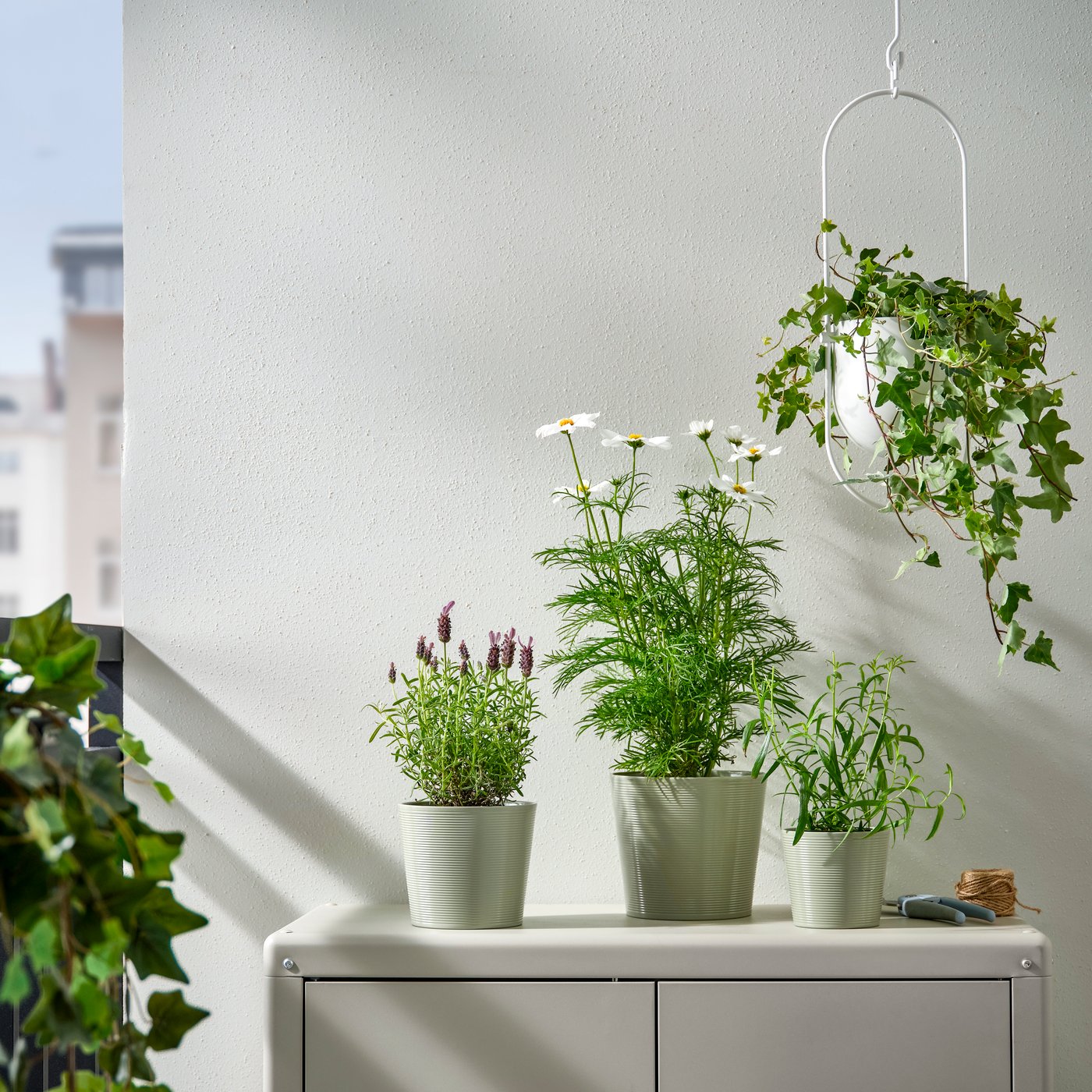 A light green BROKSPIREA plant pot