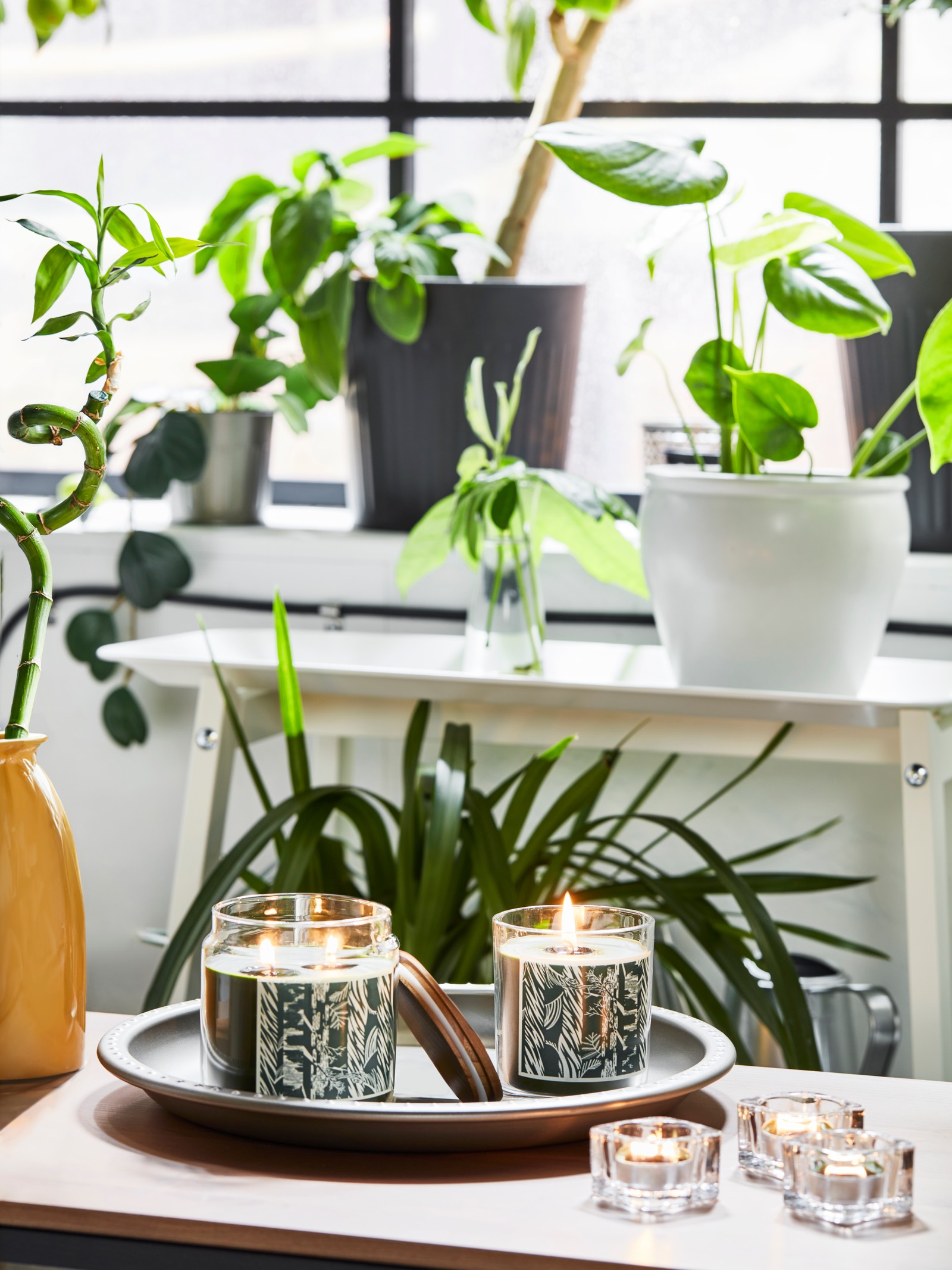Home Fragrance Diffusers - IKEA