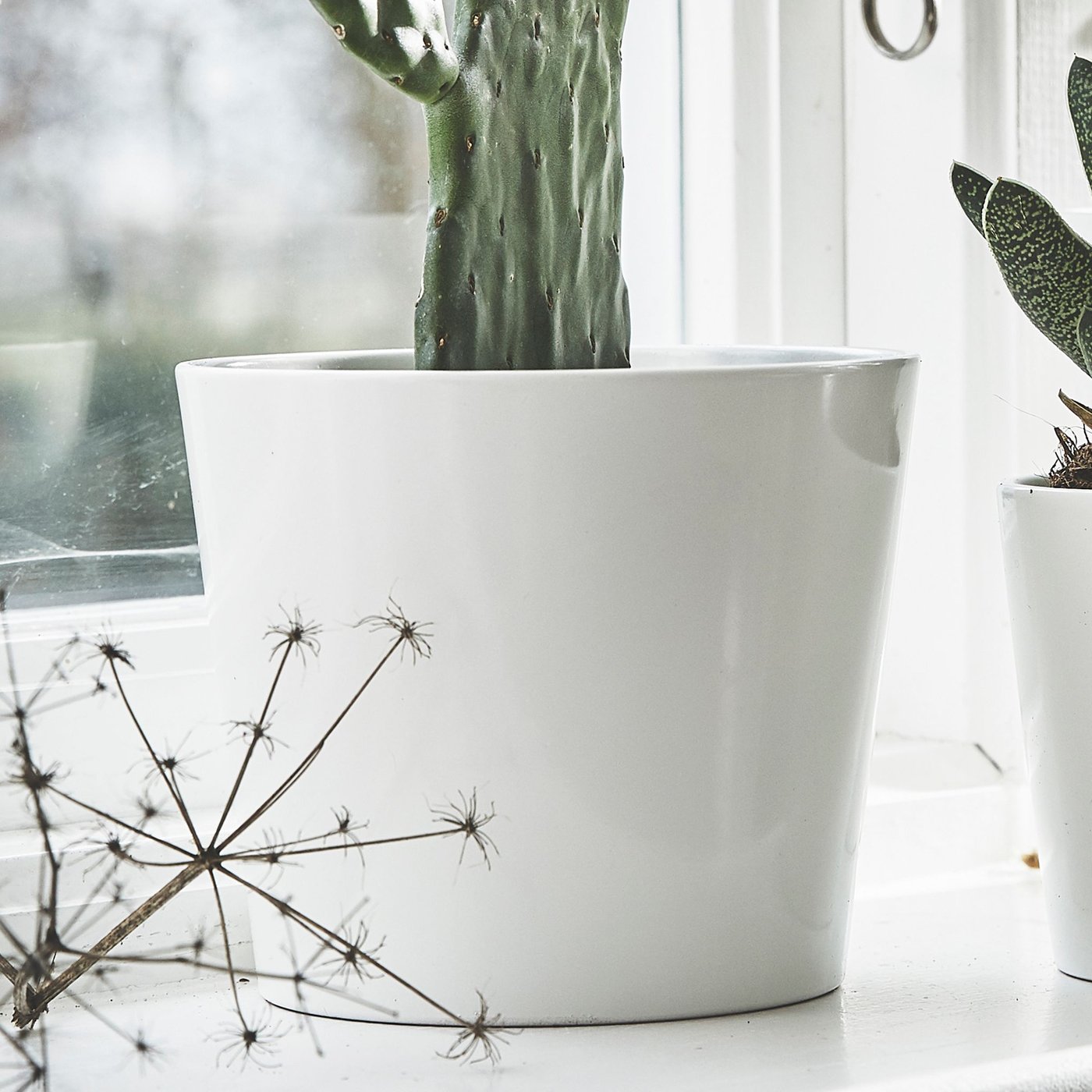Vit kruka i fönster med kaktus. 
