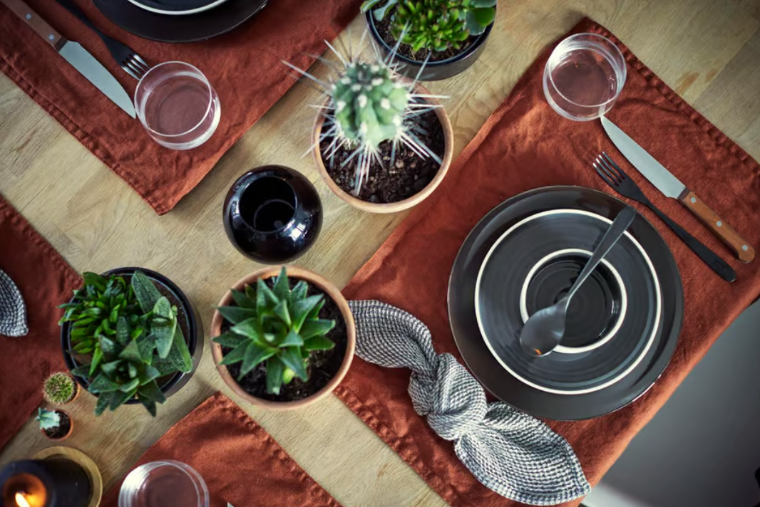 Gedeckter Tisch mit schwarzem Geschirr, roten Platzsets, Gläsern und mehreren Sukkulenten und Kakteen in Töpfen.