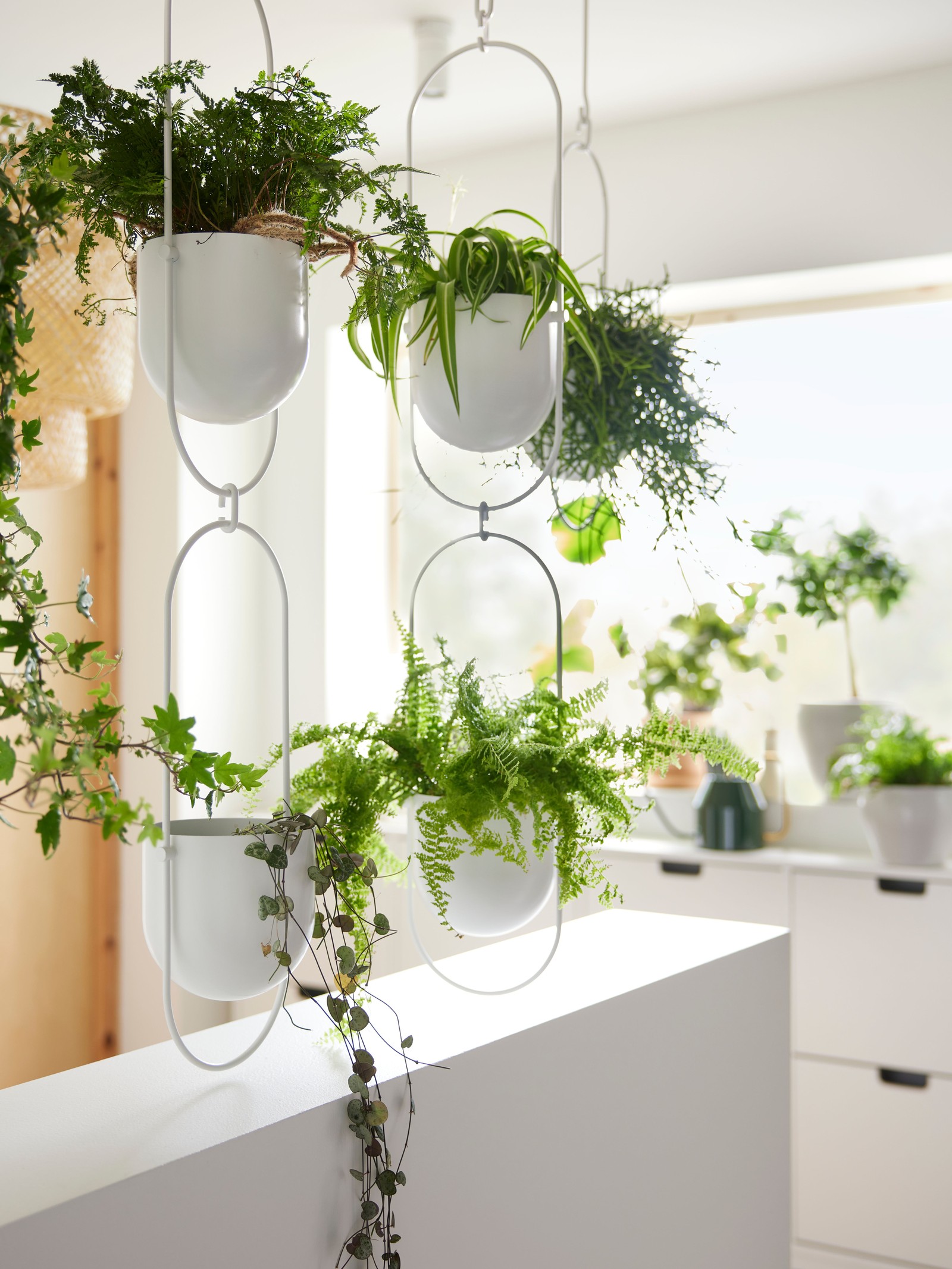 Get inspired by an entryway with calming greenery IKEA CA
