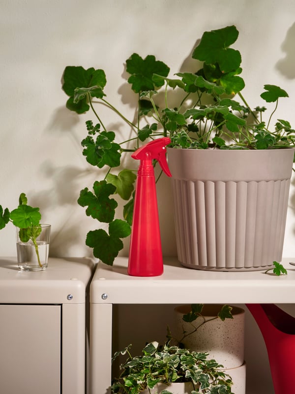 A bright red TOMAT spray bottle