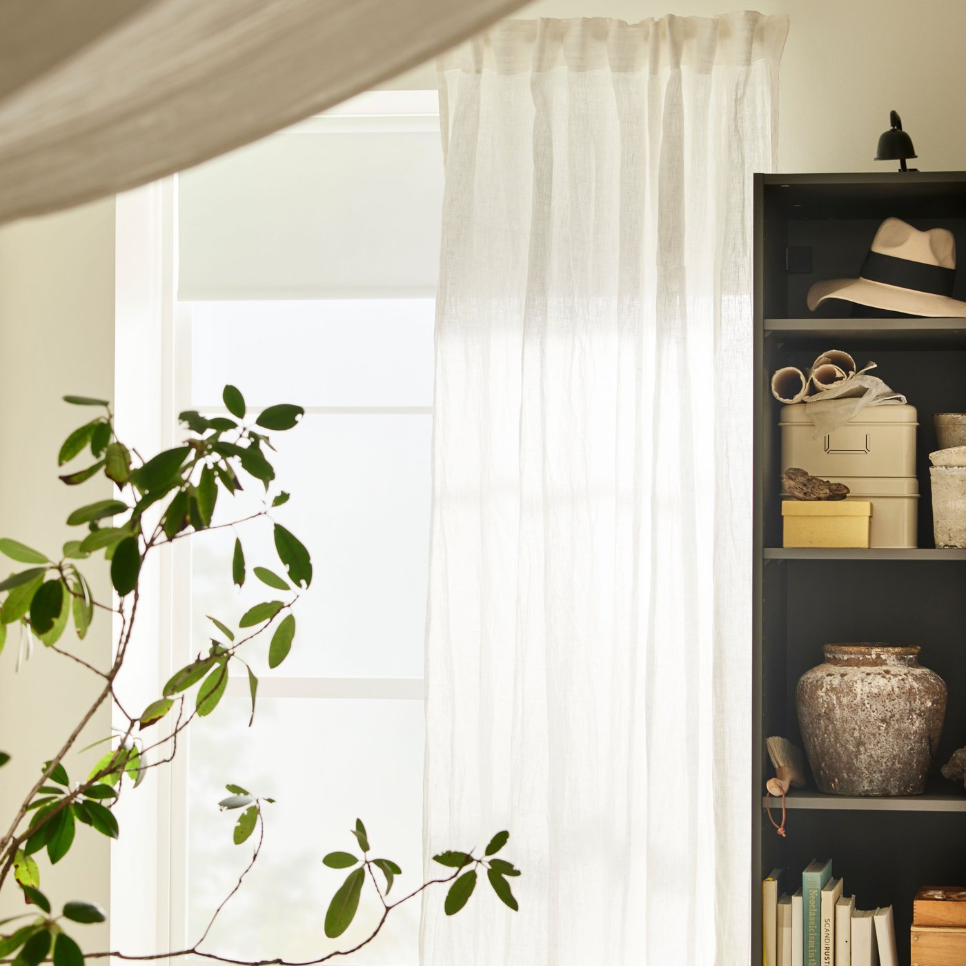 Ikkunan edessä olevalla pöydällä on suuri kasvi ja taustalla näkyy tummanharmaa PAX-vaatekaapin runko.