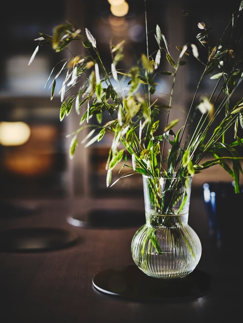 Bucătărie cu o vază PÅDRAG din sticlă transparentă albă, așezată pe o suprafață închisă la culoare, ținând în mână mai multe plante verzi.