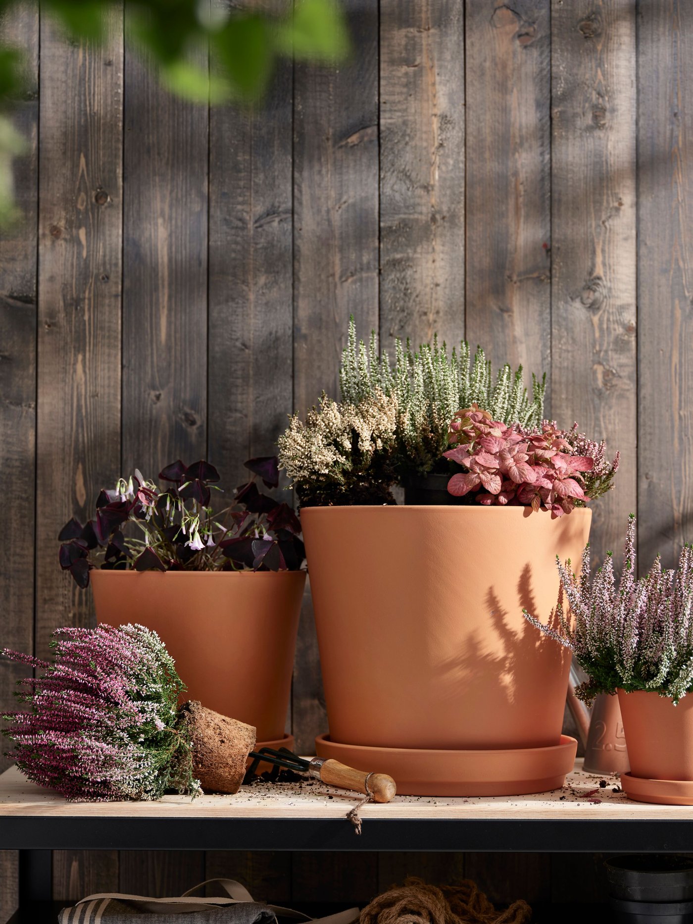 Před dřevěnou stěnou stojí květináče BRUNBÄR s miskami různých velikostí.