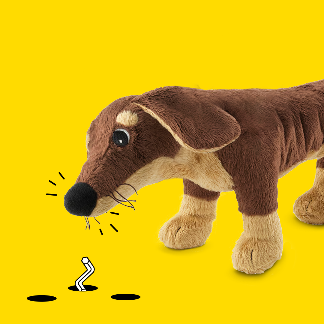 Pluszowy jamnik na żółtym tle wąchający kluczyk imbus