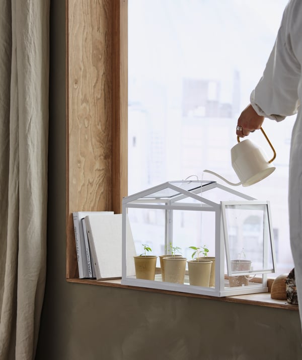 A SOCKER miniature greenhouse placed in a windowsill. A woman waters the seedlings within with a VATTENKRASSE watering can.