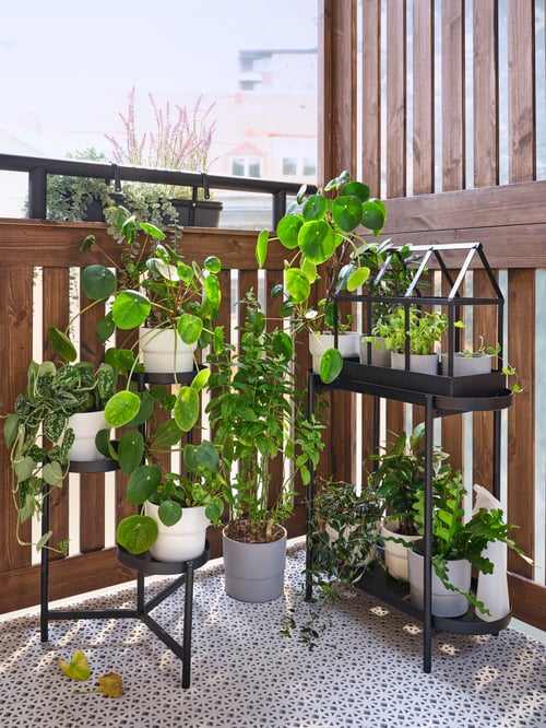Two OLIVBLAD plant stands on a balcony, one has two shelves, the other has three, both are filled with lots of plants.