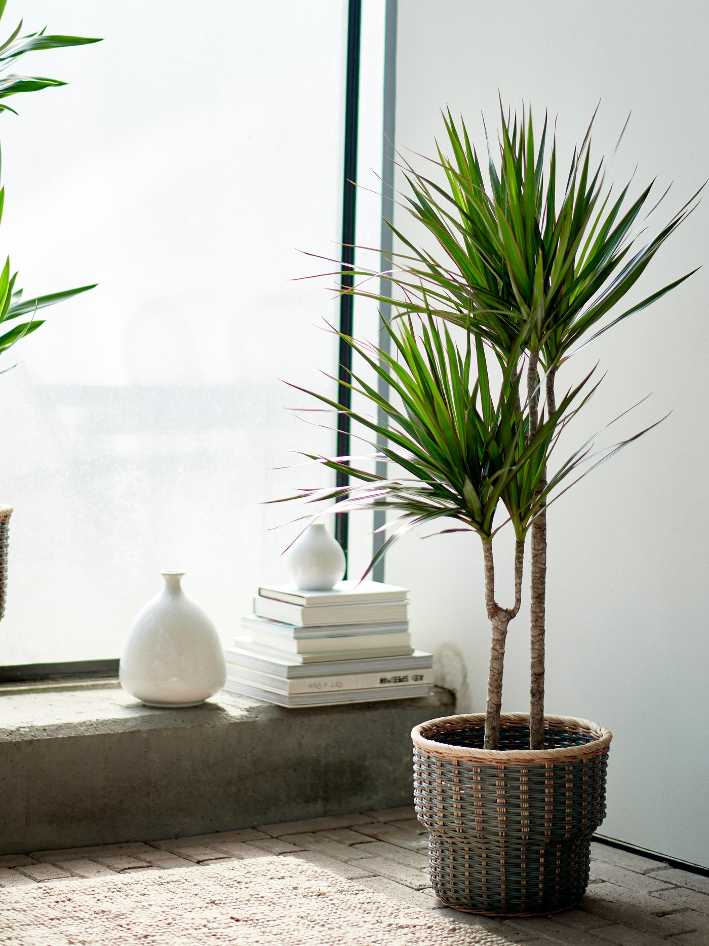 A white VINDUM rug, high pile