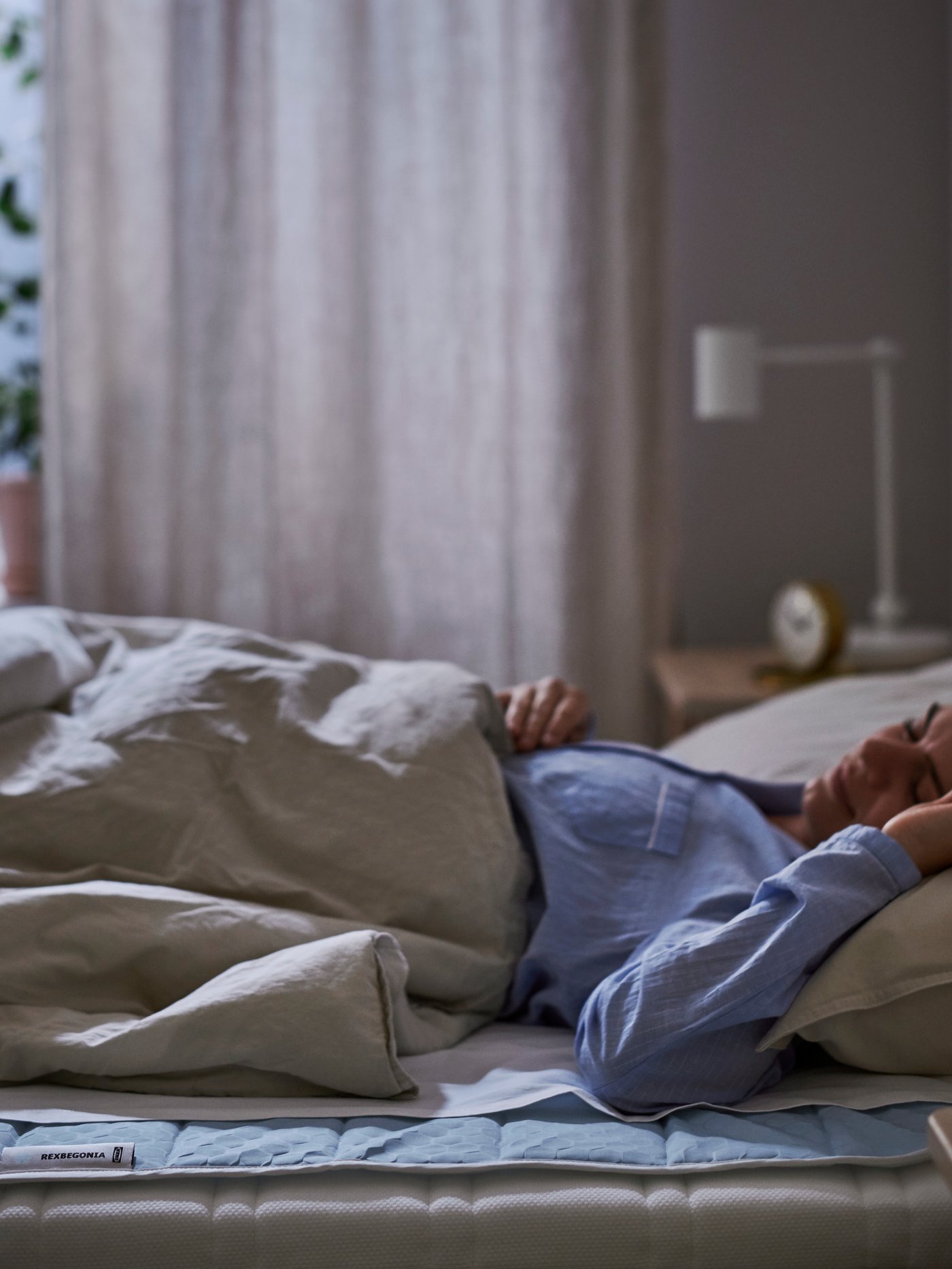 A REXBEGONIA cooling pad