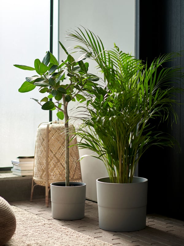 Un pot NYPON gris pour l'intérieur et l'extérieur