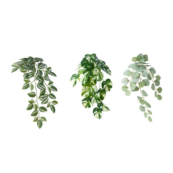 FEJKA フェイカ 人工観葉植物ウォールホルダー付