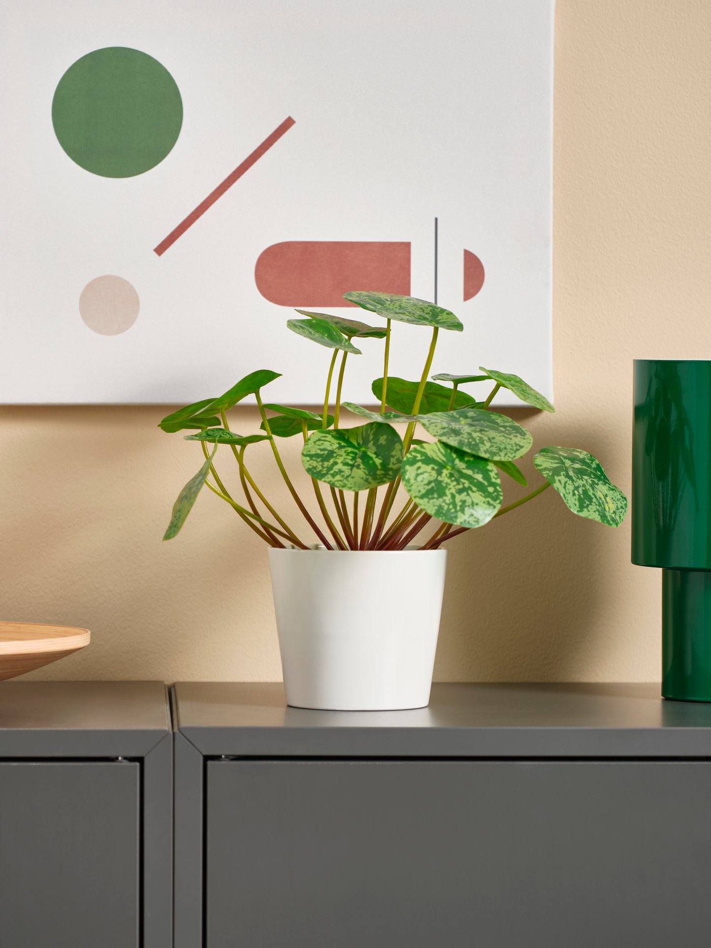 A FEJKA artificial pilea plant for indoor and outdoor use in a pot on a grey sideboard.