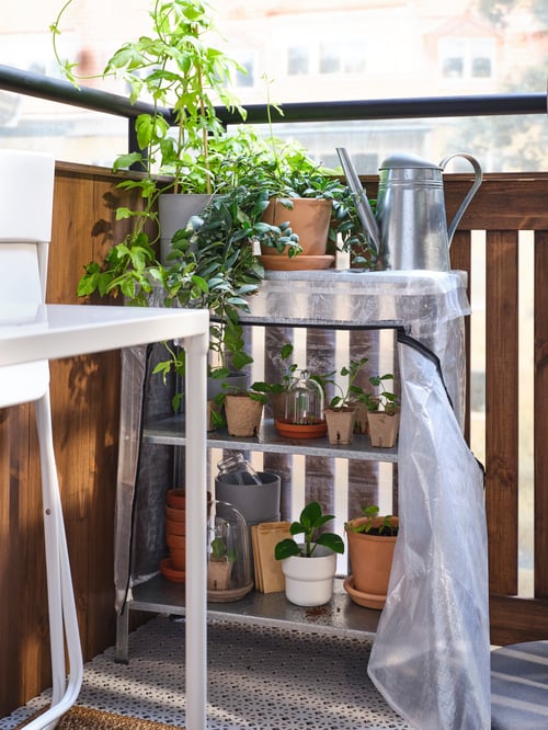 A HYLLIS shelf with transparent cover on a balcony with plants and a watering can on the top shelf and seedlings below.