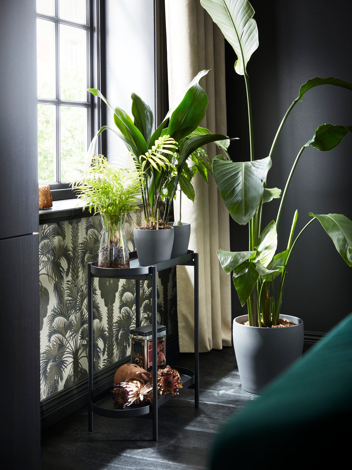 Un soporte de plantas OLIVBLAD negro delante de una ventana con tres plantas encima y una planta grande en un macetero en el suelo al lado.