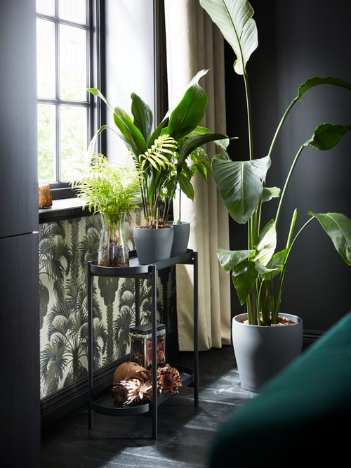 Un piédestal OLIVBLAD noir devant une fenêtre avec trois plantes sur le dessus, et une grande plante dans un pot sur le sol à côté.
