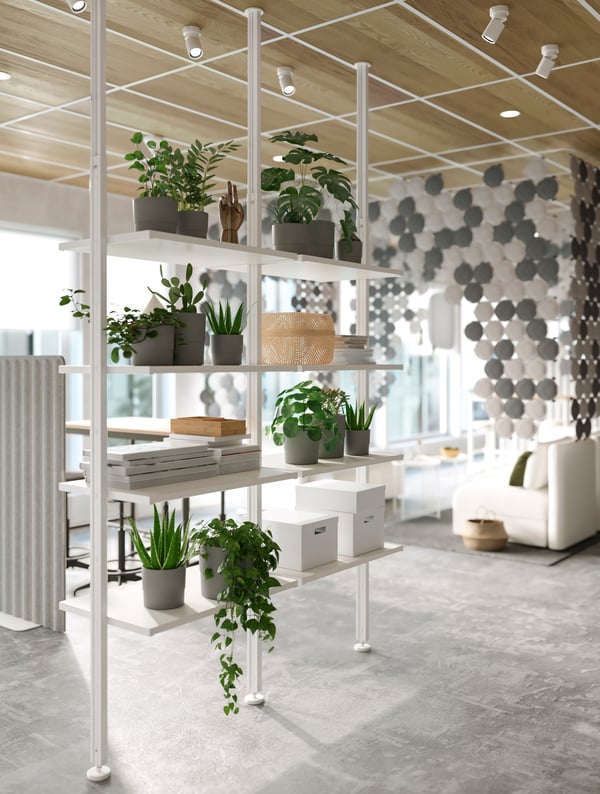 A shelf of plants is used in a bright office to divide the space.