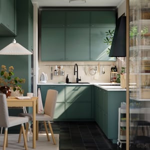 ASPUDDEN dark grey-green fronts