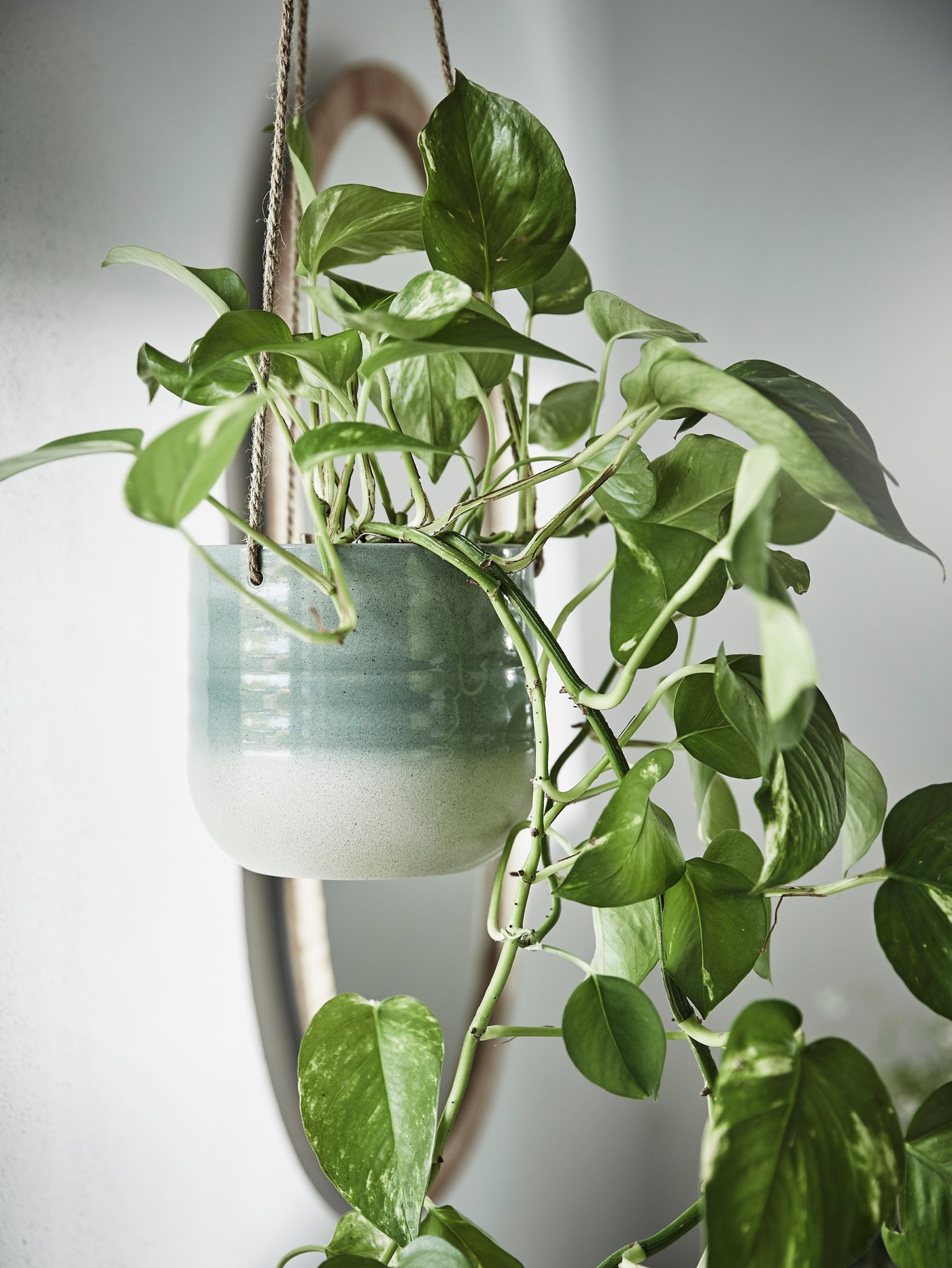 A grey-green KAPKRUSBÄR hanging planter in the NA
