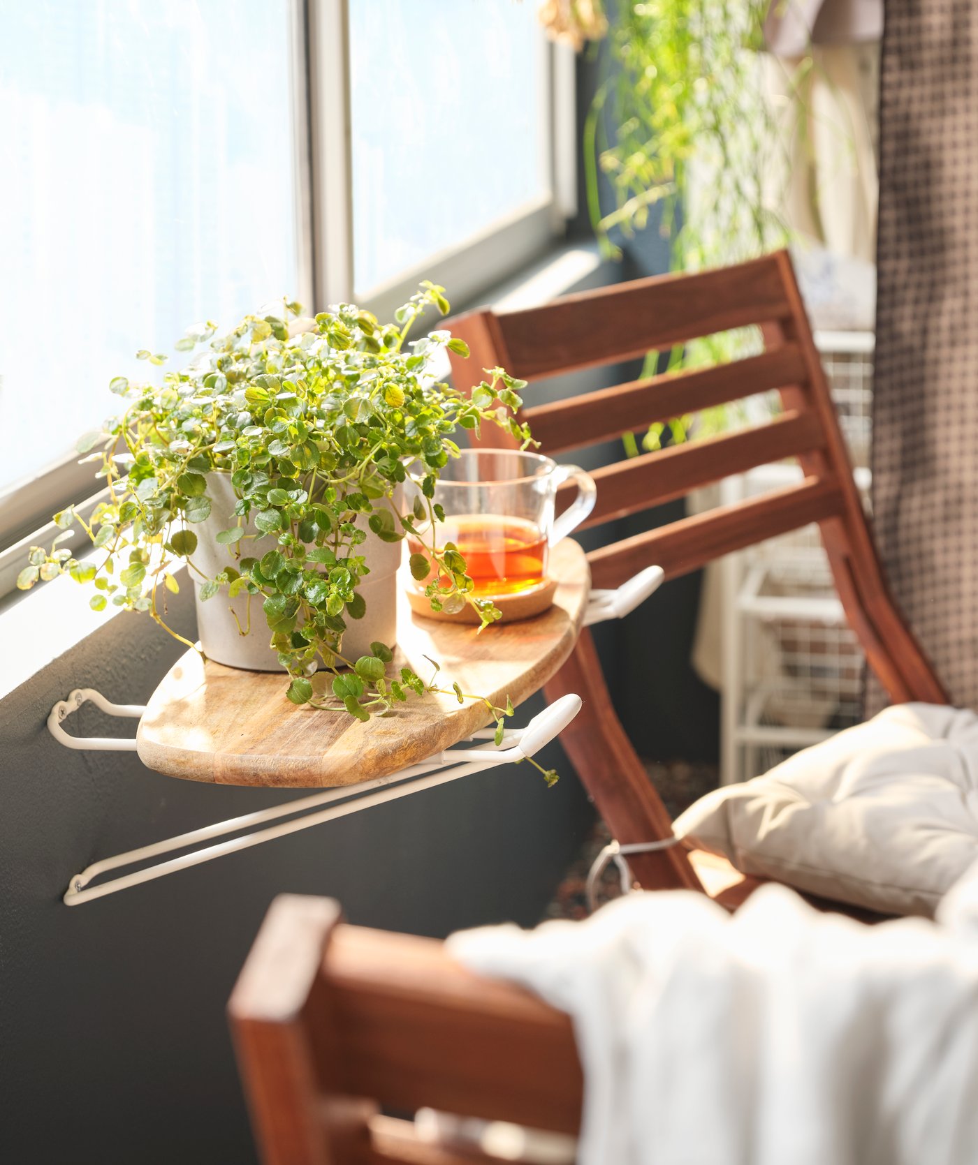 A SKRÄLL hook, in-/outdoor outside