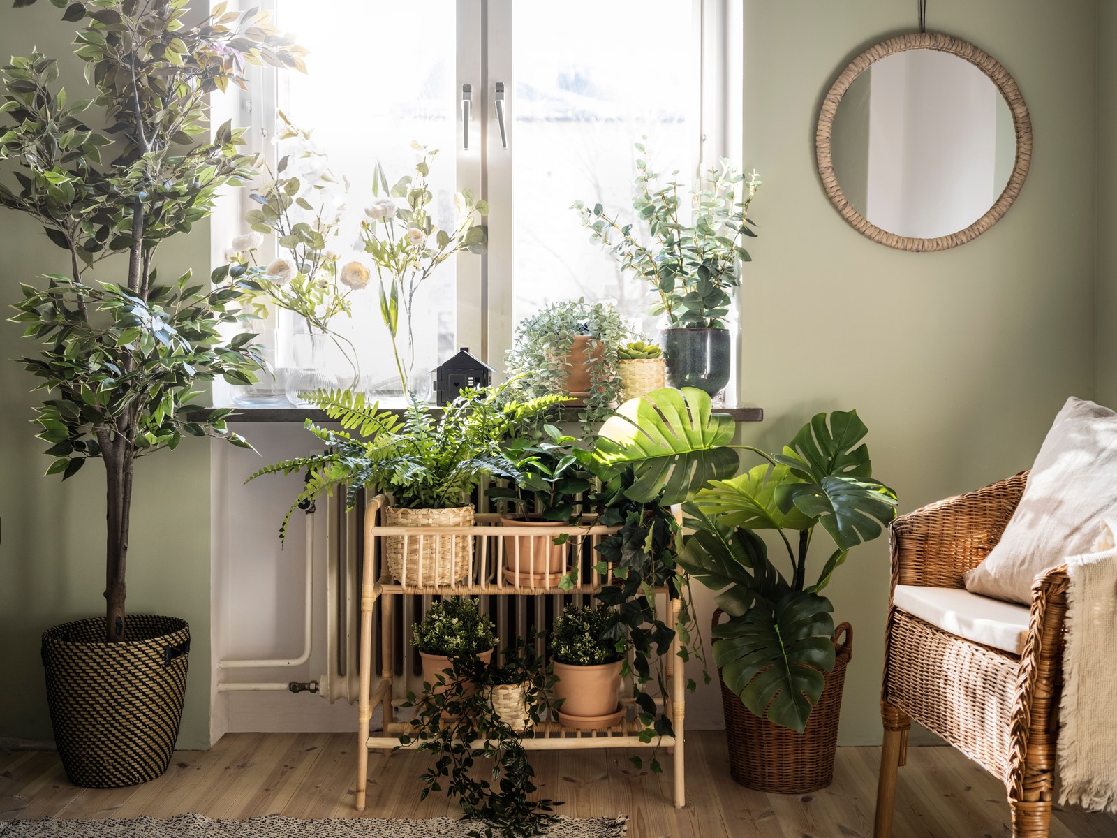 Plante pour chambre : guide complet pour bien choisir - IKEA