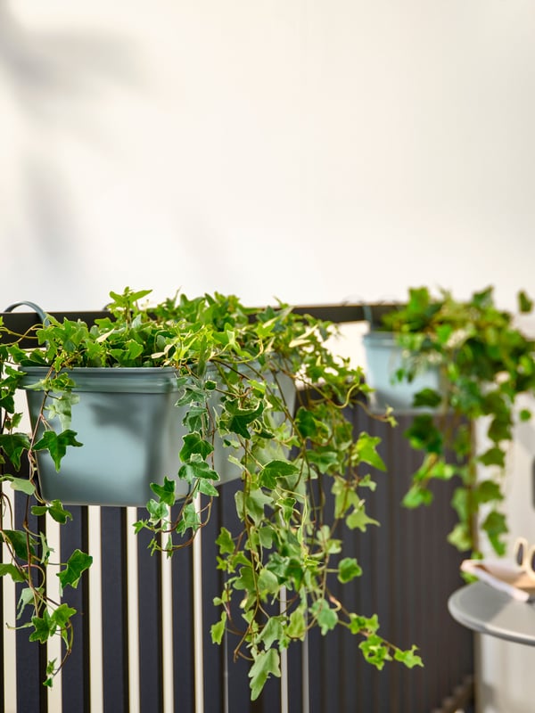 An outdoor turquoise ROSENKÅL flower box with holder