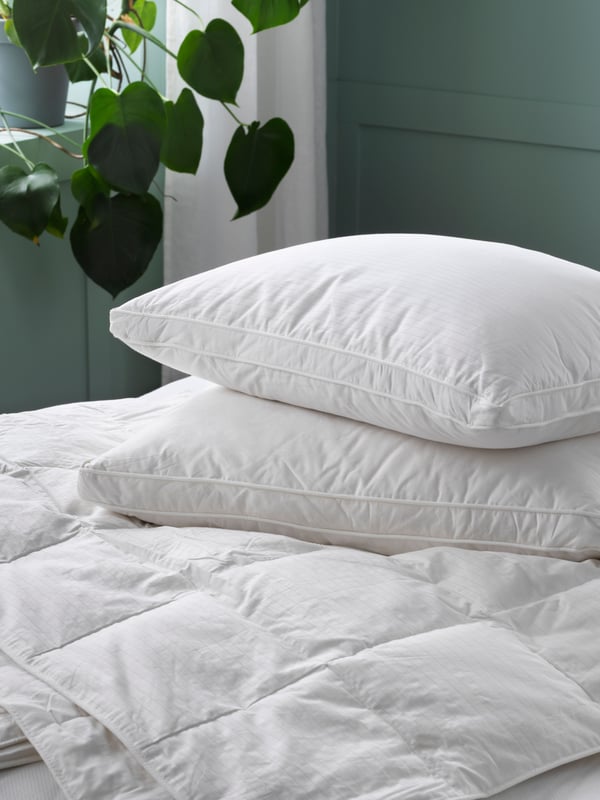 Close-up of a white mattress with a pile of white duvets and pillows on top of it. Green wall and window with green plant.