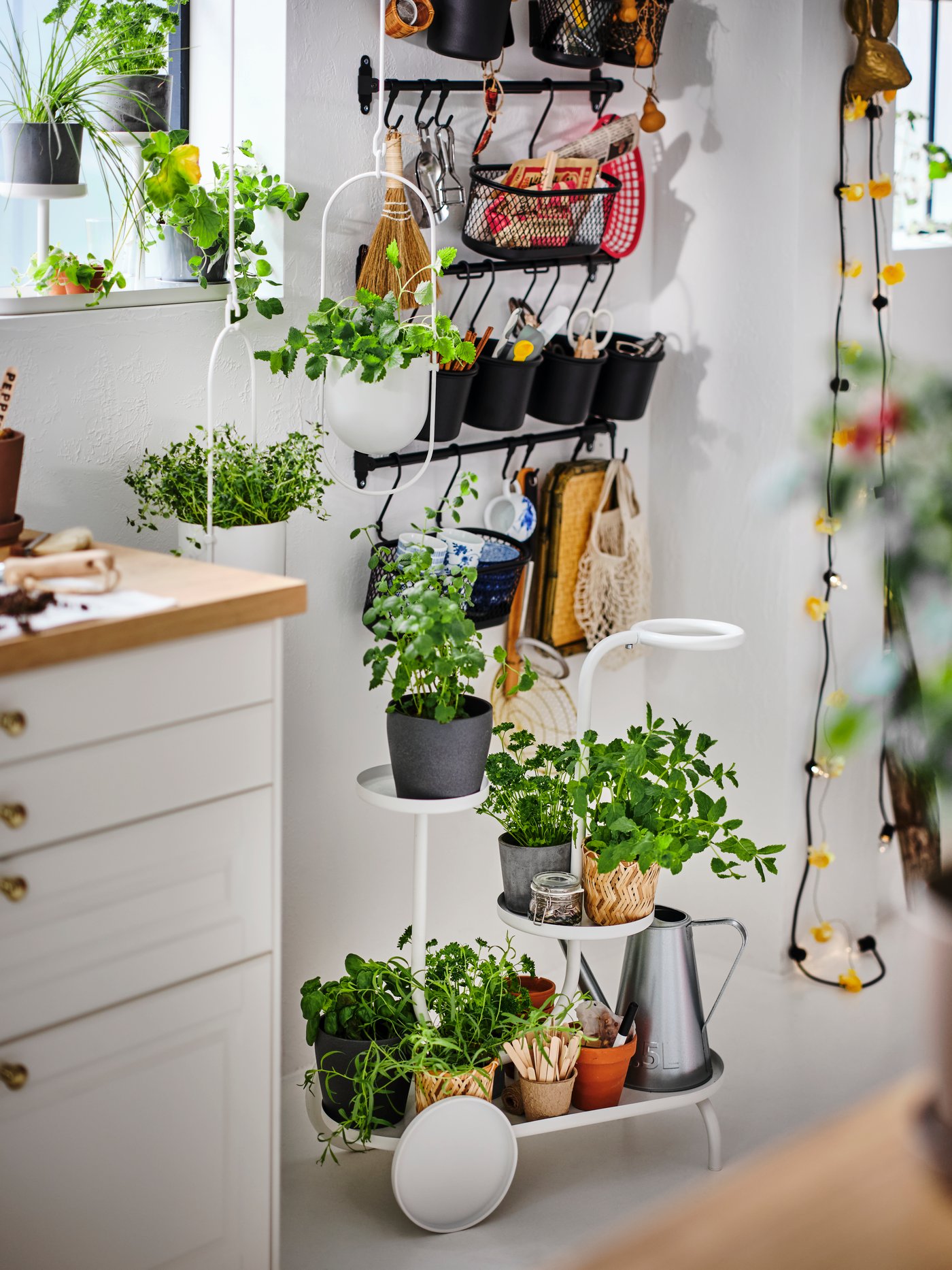 A kitchen with HULTARP rails with black containers filled with kitchen accessories and a plant stand with wheels below them.