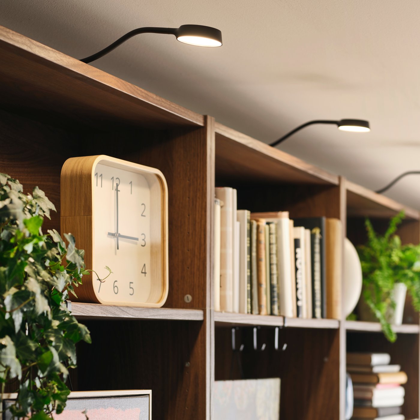 A BILLY bookcase with YTBERG cabinet lighting illuminating the shelves.