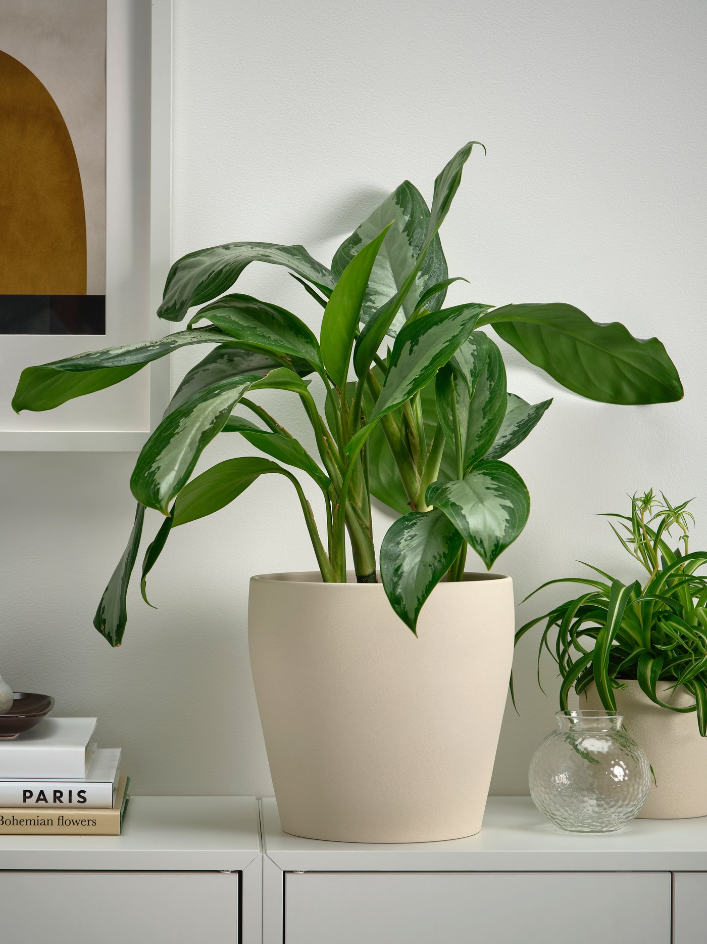 A light beige PERSILLADE plant pot