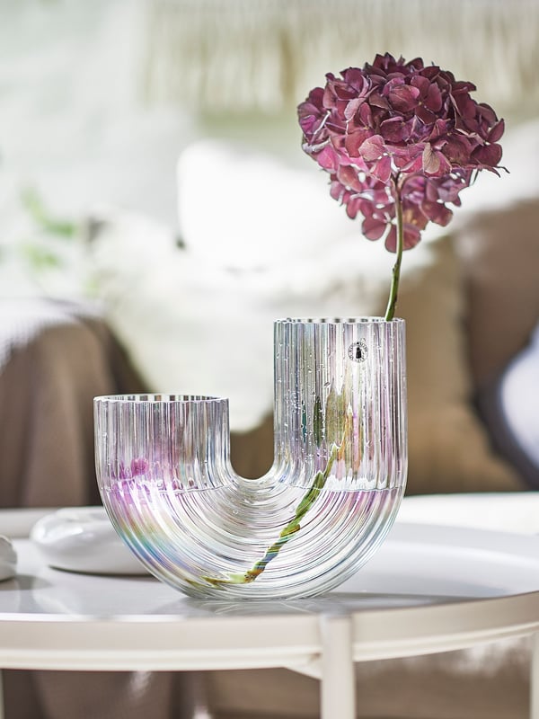 Eine Vase mit einer Blume ist zu sehen