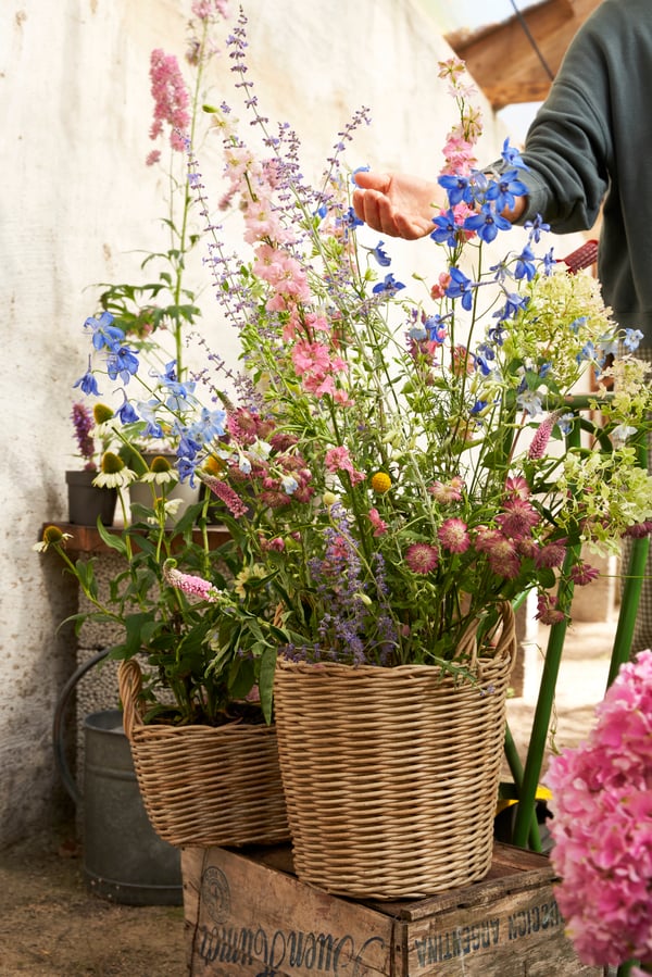 A rattan KAKTUSFIKON plant pot
