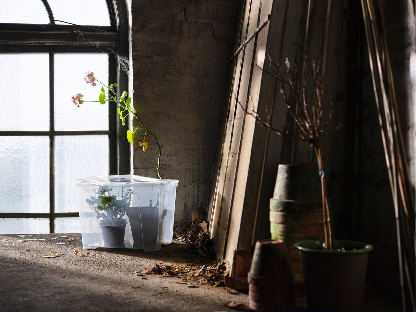 An undefined outside