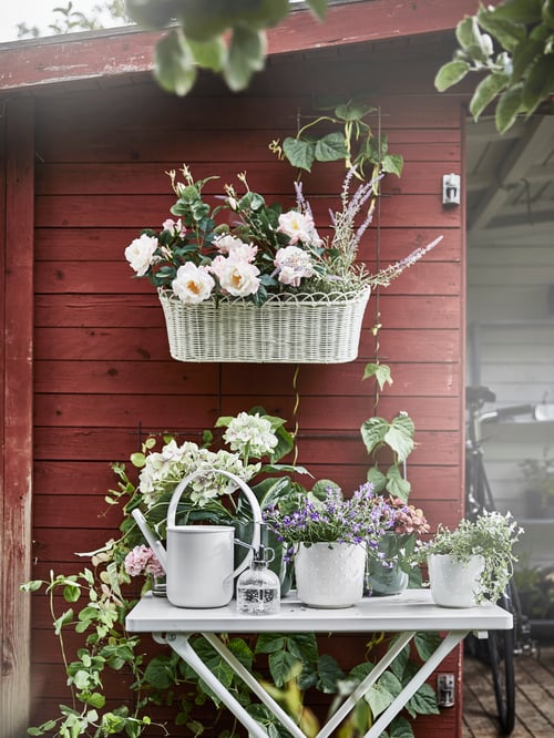 Outdoor area with a flower box on a shed's wall, white watering can, mist dispenser, plant pots, household plants and flowers