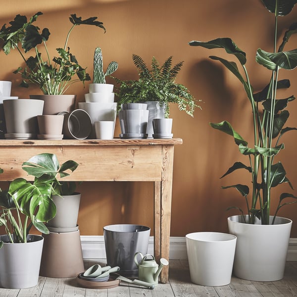 A white SOJABÖNA plant pot