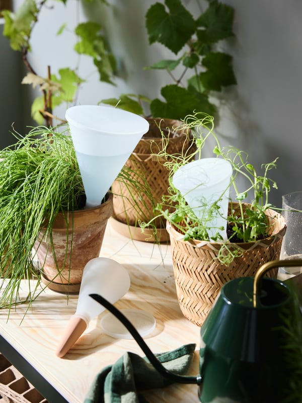 A handmade bamboo KLYNNON plant pot outside