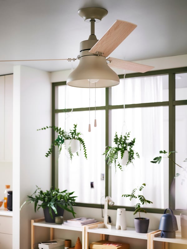 An AKTERSTAGAD ceiling fan with light is attached to a ceiling in a room where some plants are hanging in a row of windows.