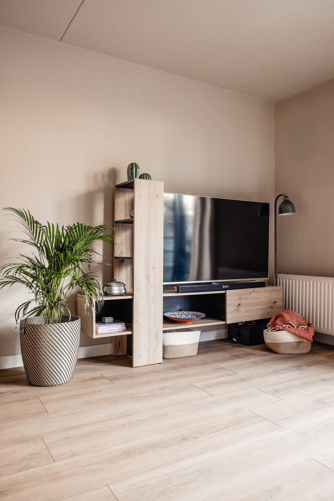 Een hoek in de woonkamer, met een tv-meubel met daarop een tv en een grote plant ernaast.