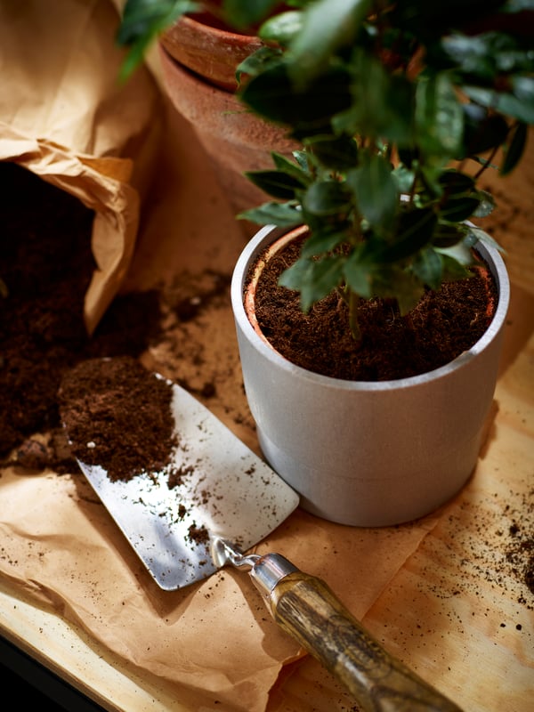 A plant in a NYPON flower pot with a shovel and soil next to it.