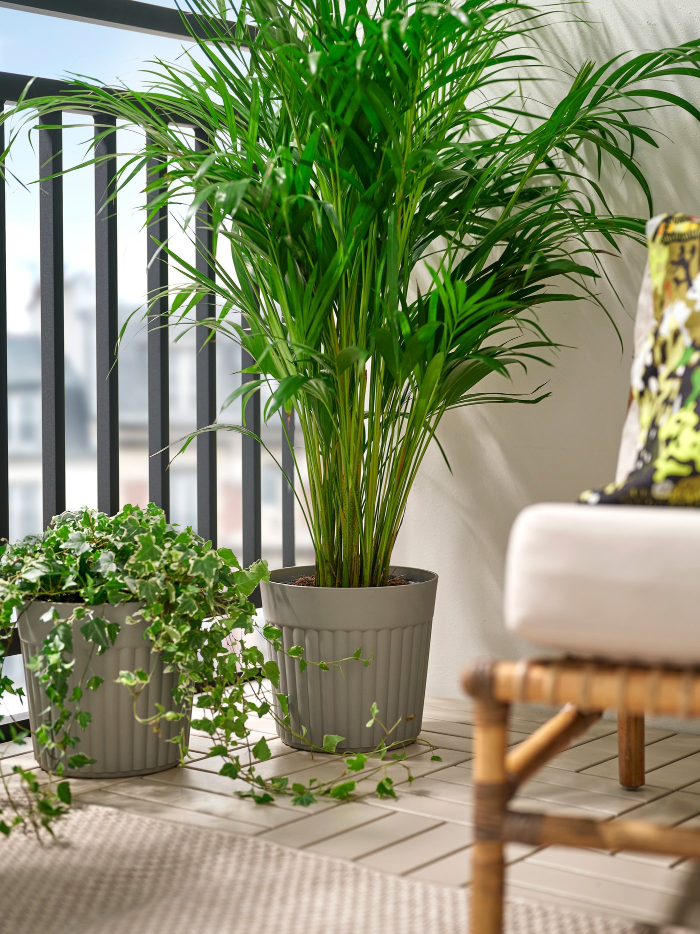 Venkovní květináče.