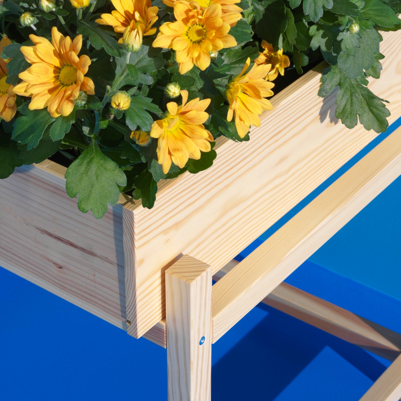 Dřevěný stojan na rostliny PRIMÄRSKOG v modré místnosti.