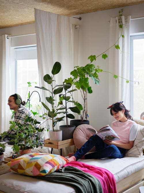 O pernă multicoloră se află pe un pat care poate fi stivuit cu aruncări și o femeie care citește o revistă. Un bărbat stă lângă ghivece cu plante.