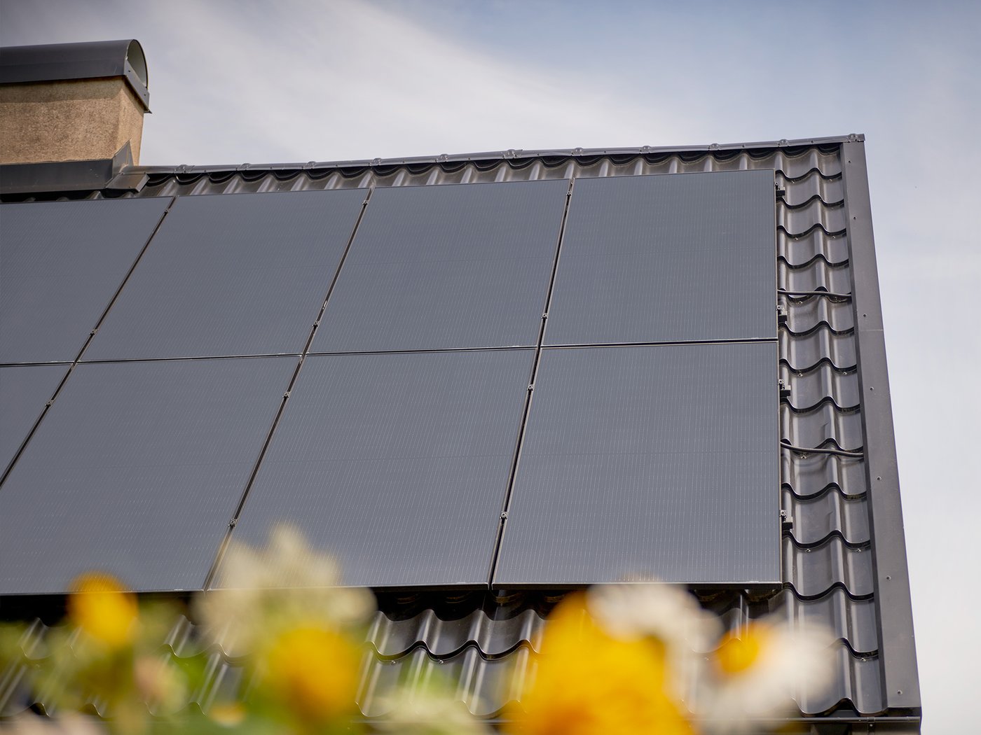 Solpaneler monterade på ett tak med mörkgrå takpannor, fotograferade i dagsljus mot en blå himmel. I förgrunden syns suddiga gula och vita blommor.